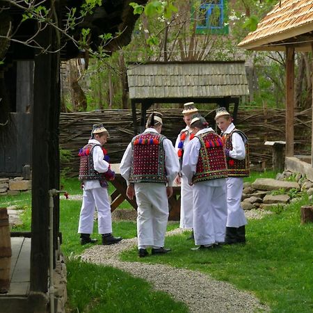 Breb 418, Casa Opris Pension Buitenkant foto