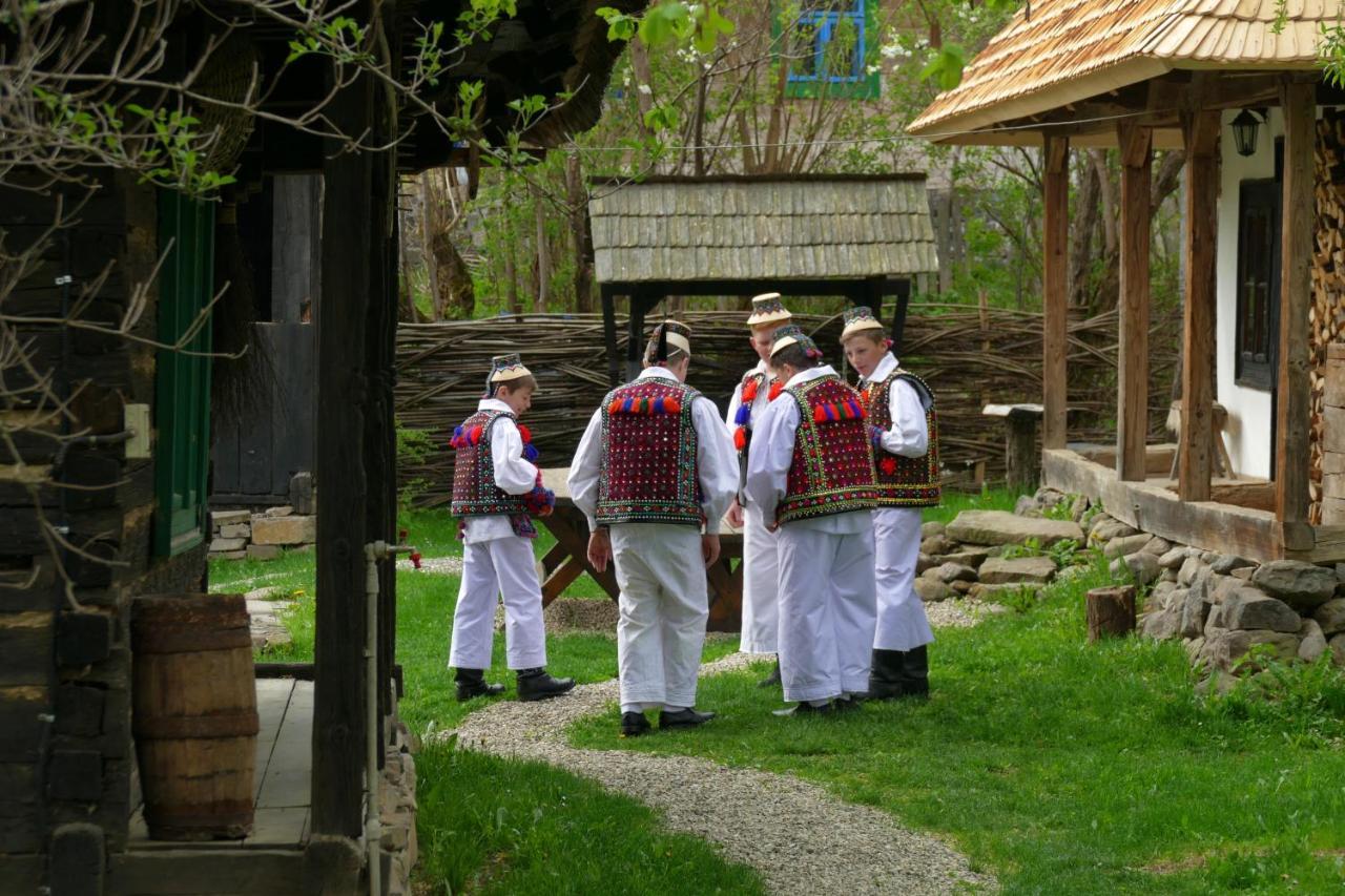 Breb 418, Casa Opris Pension Buitenkant foto