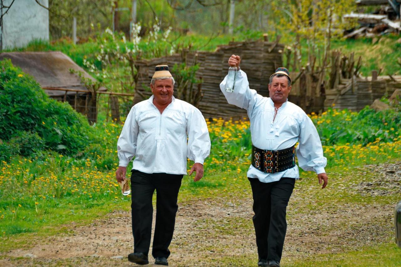 Breb 418, Casa Opris Pension Buitenkant foto